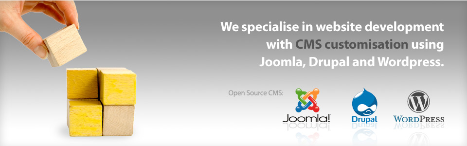 CMS Development
